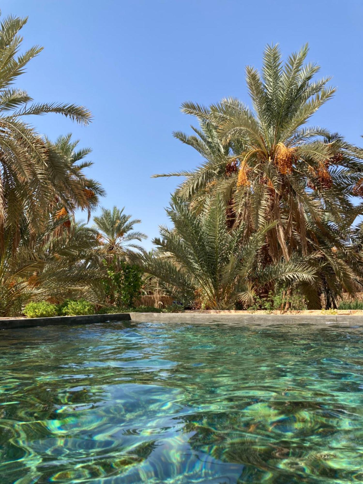 Wafla Villa Siwa Oasis Exteriör bild